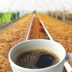 2024年06月 🆕咖啡☕️來囉~~😊