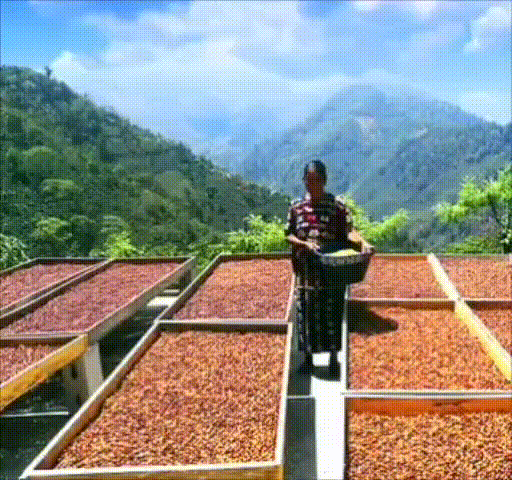 2025年03月 🆕咖啡☕️來囉~~😊